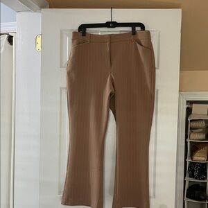 Elegant Tan Women's Pants